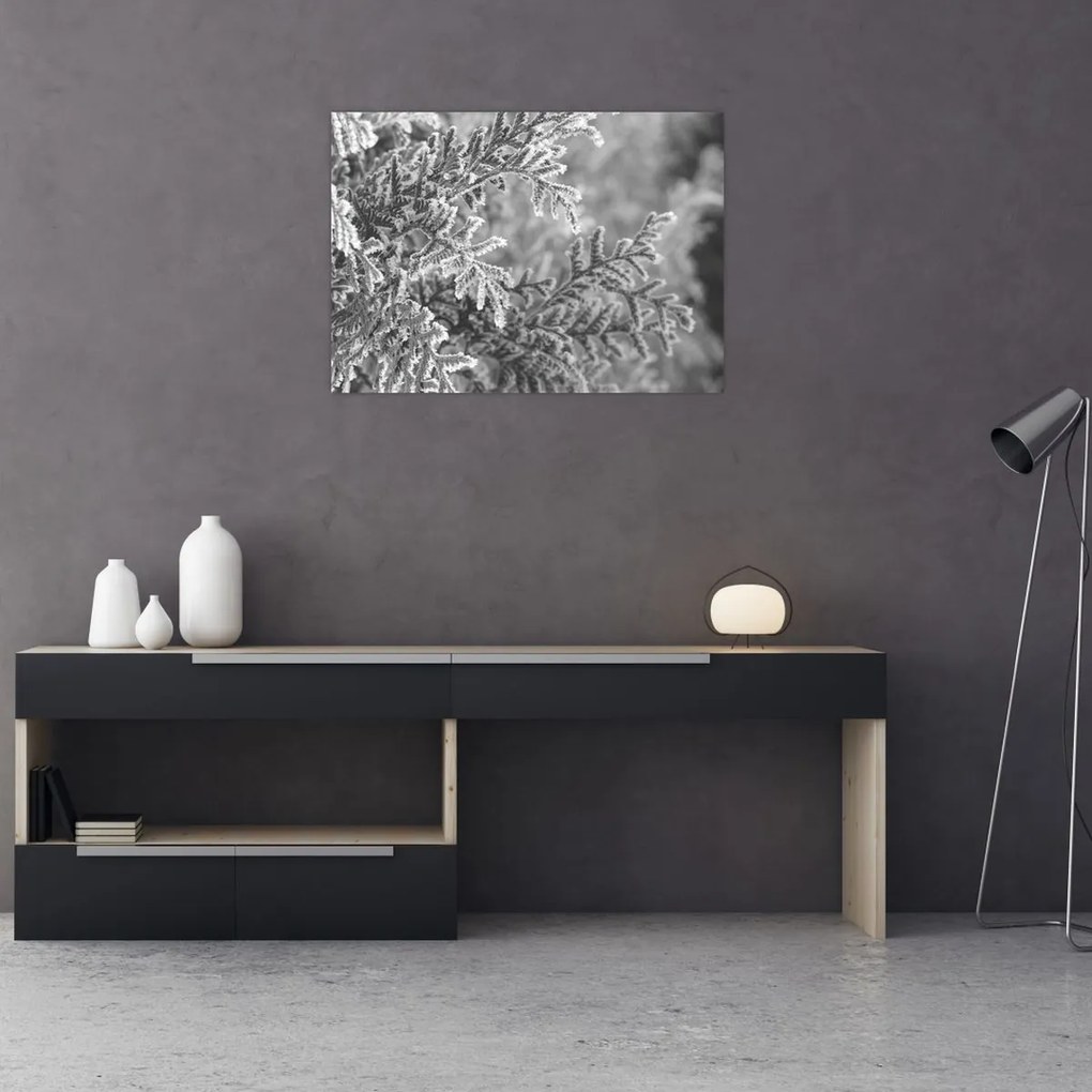 Üveg kép - Lucfenyő erdő (70x50 cm)