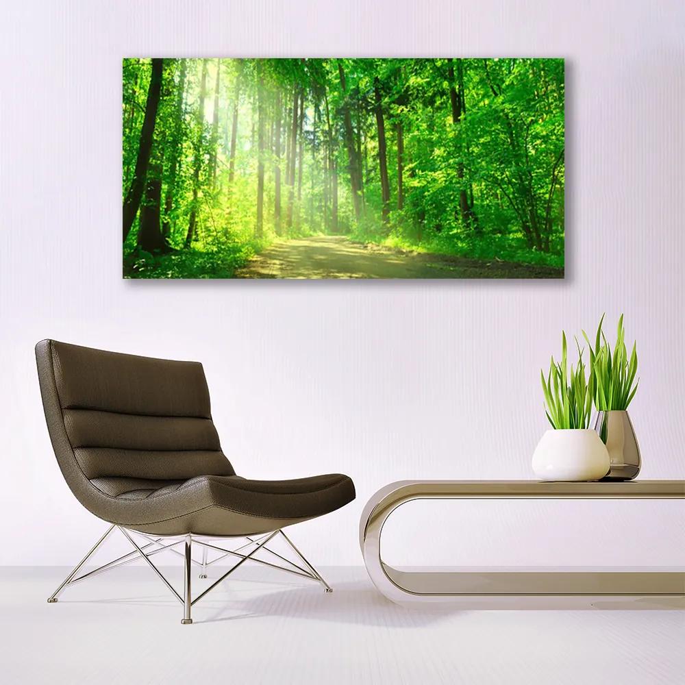 Vászonkép Forest sáv fák természet 100x50 cm