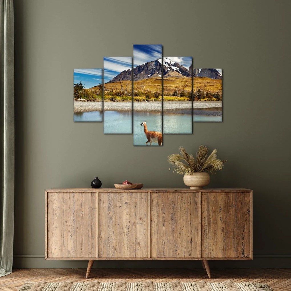 Kép - Torres del Paine Nemzeti Park (150x105 cm)