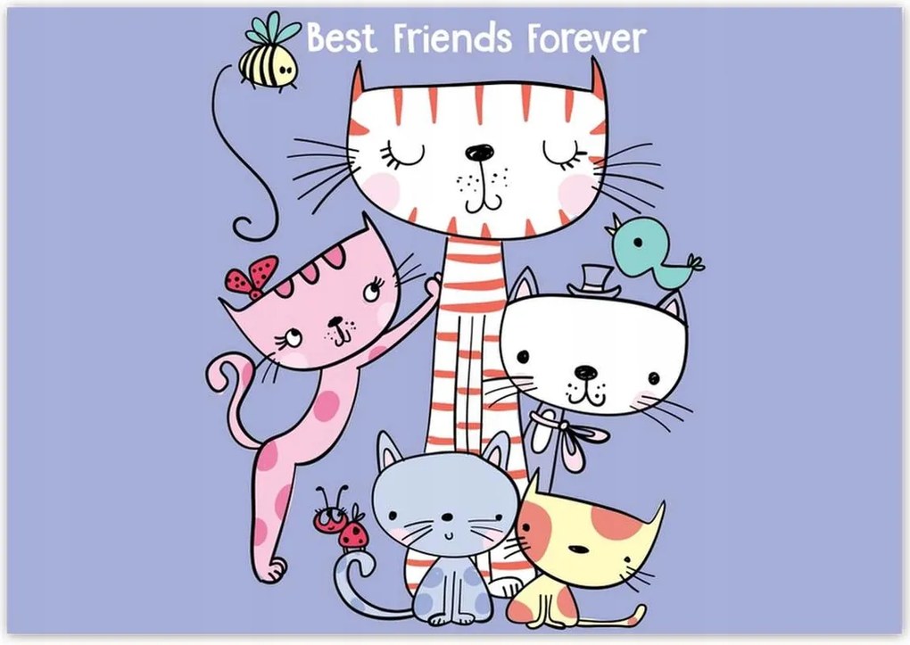 Poszterek 100x70 Cica Cicák Macskák