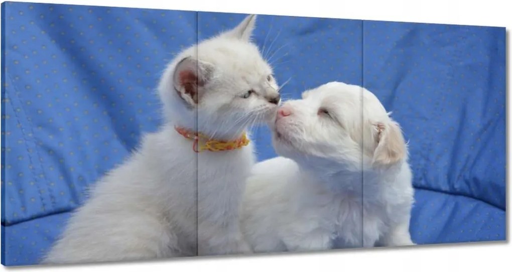 Festmények 120x60 Szerelem Érzés Párkapcsolat