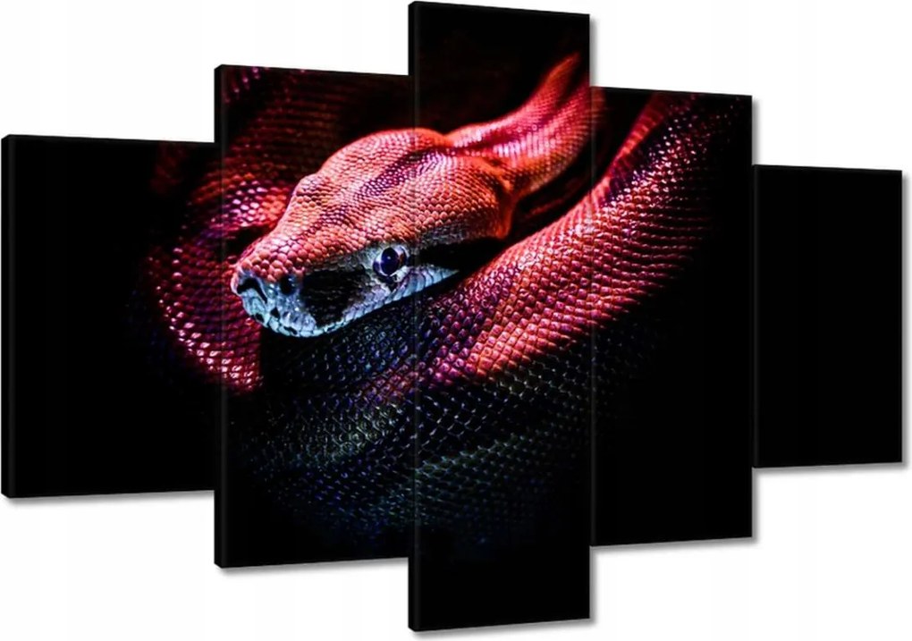 Vászonkép 120x80 Vörös kígyó