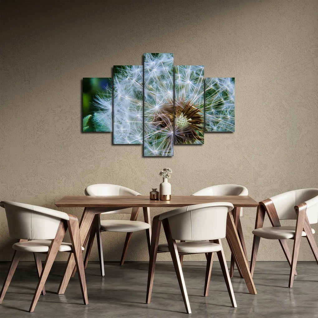 Elvirágzott pitypang képe (150x105 cm)