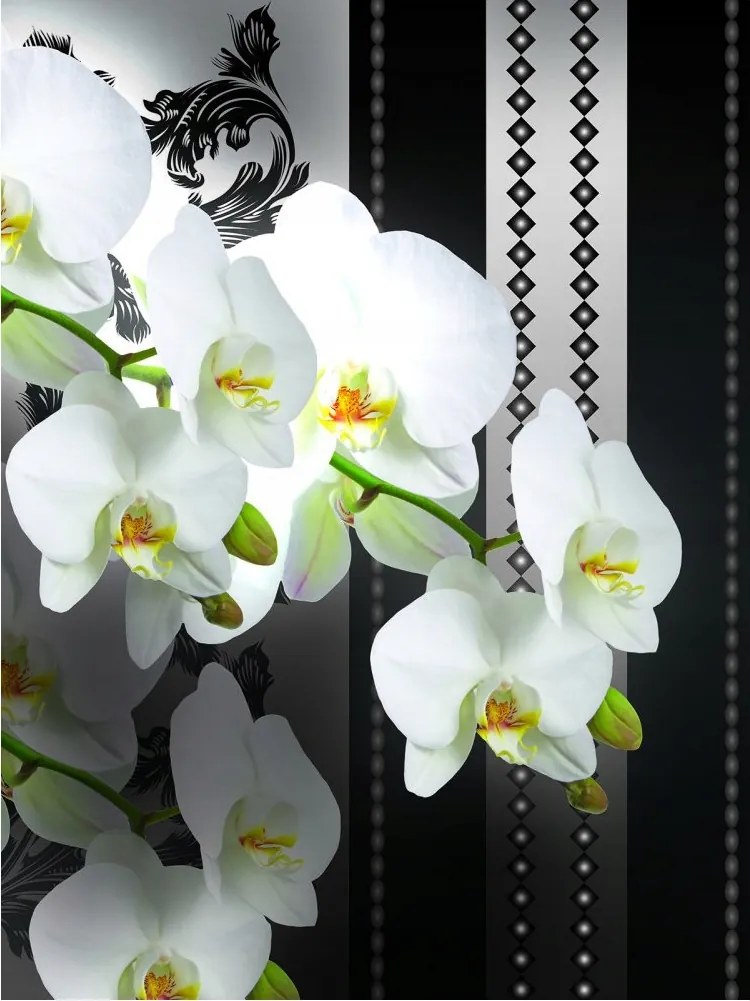 Fotótapéta Fehér orchideák vinil 184x254 elegancia és harmónia otthonra +ragasztó