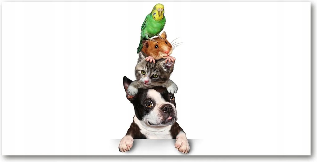 Fotó-kép edzett üveg Állatcsoport 140x70