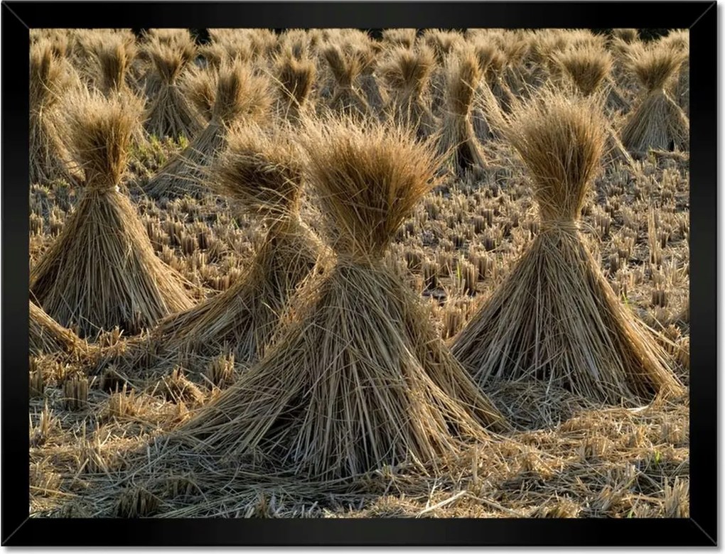 Poszterek keretben 40x30