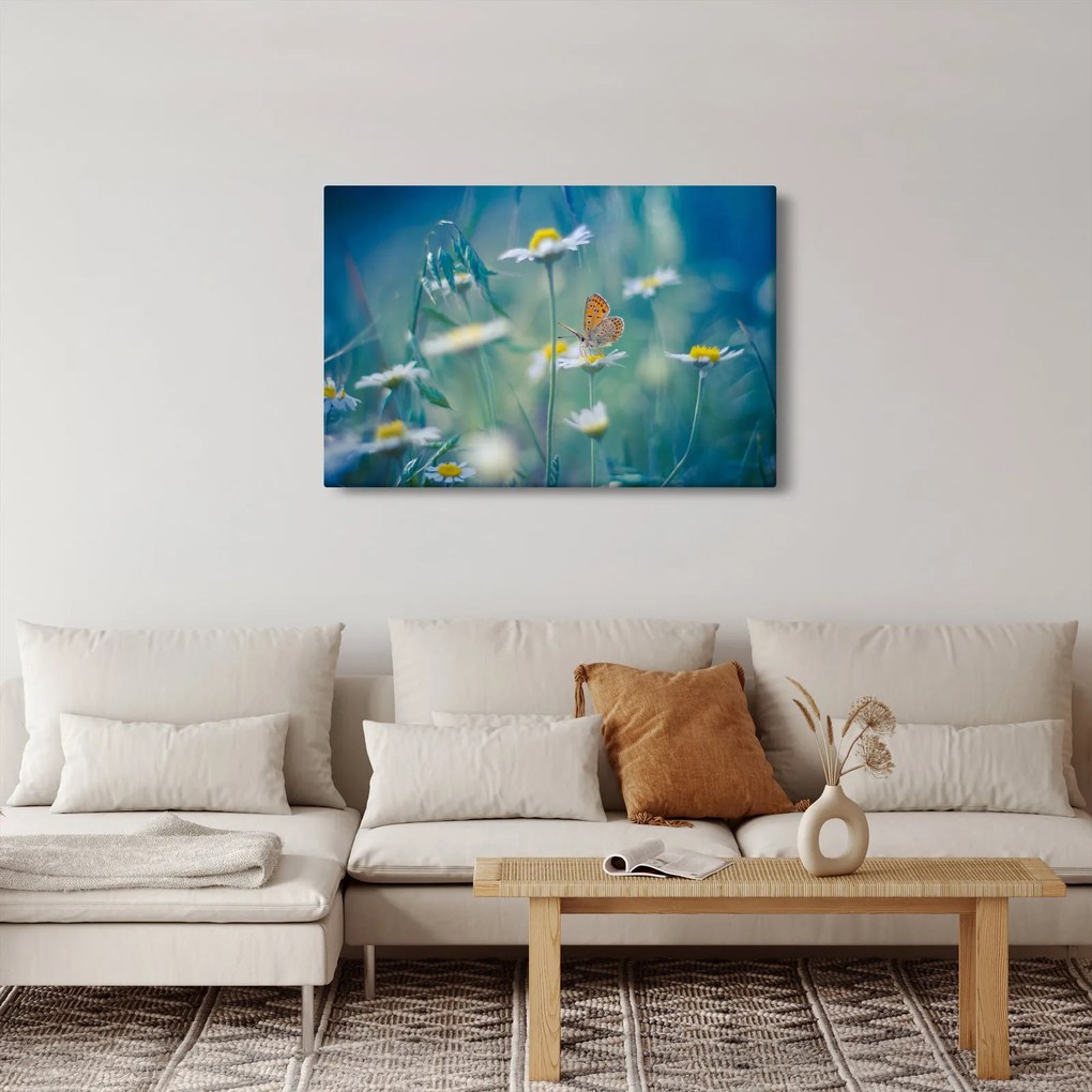 Kép - pillangó a százszorszépen (90x60 cm)