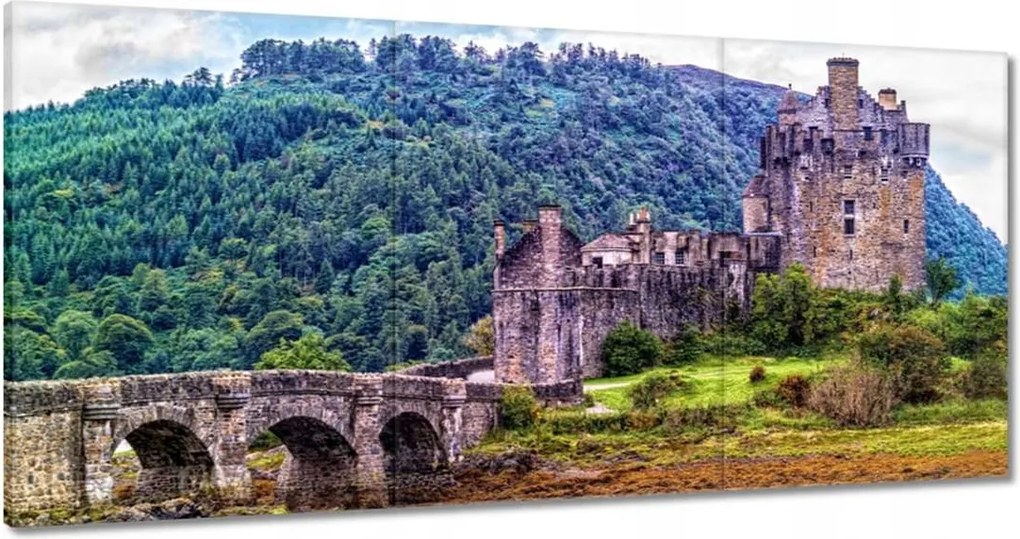 Vászonkép 180x90 Régi vár domb erdő