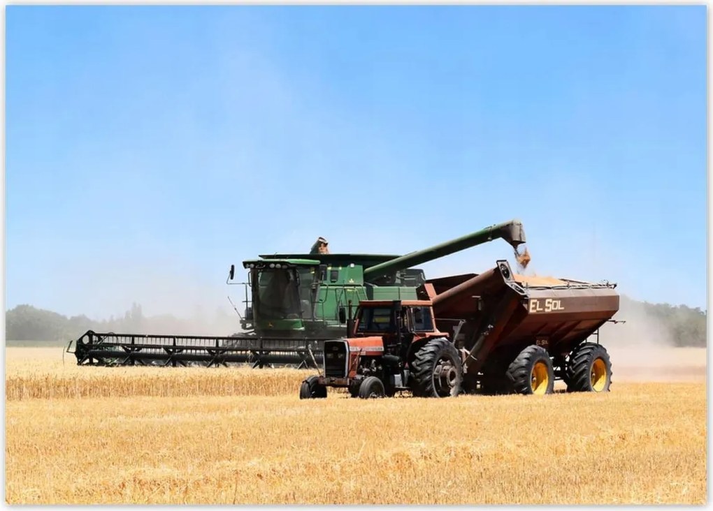 Poszterek 70x50 Kombájn az aratás idején