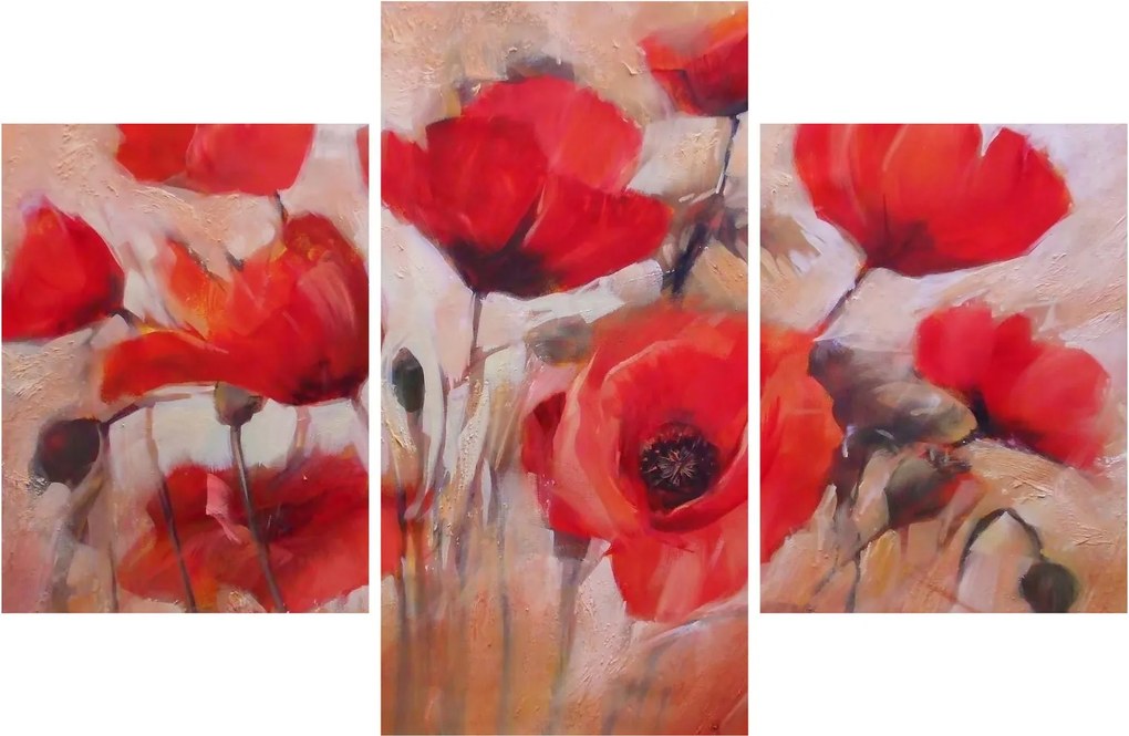 Kép - Farkas mák (90x60 cm)