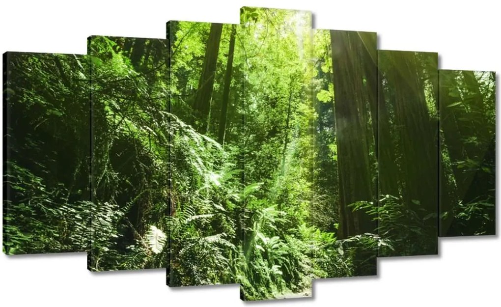 Festmények 140x80 Varázslatos erdő Tájkép