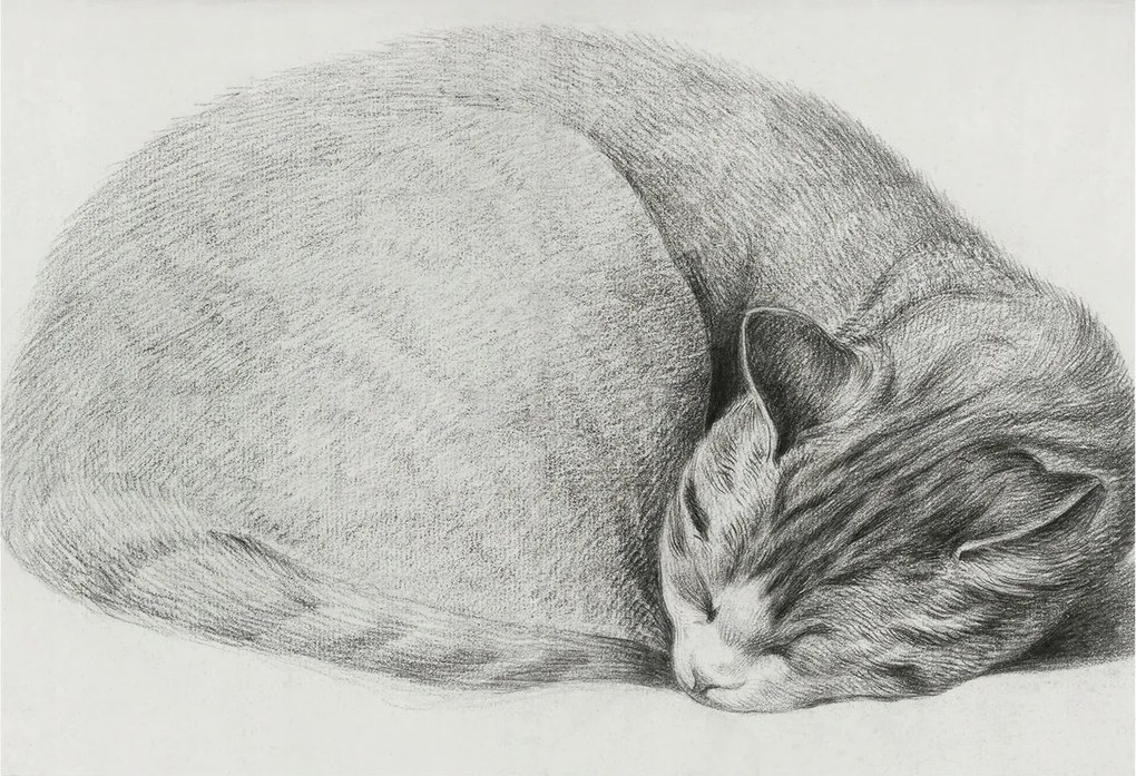 Divatos Flizelin Tapéta Ragasztóval Fali 3D Összecsukható macska 152x104 Ragasztó