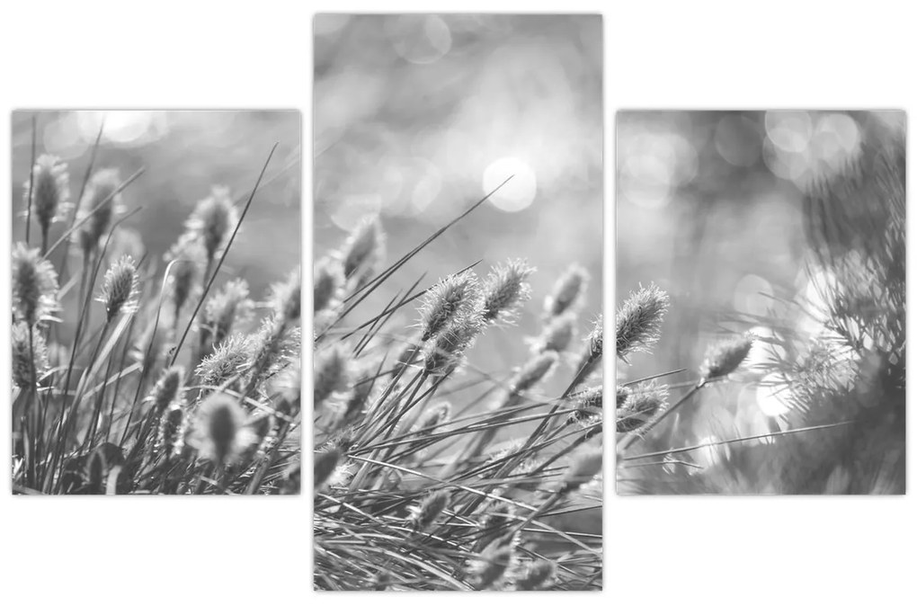 Kép - Bézs színű puha fű N⁰1 (90x60 cm)