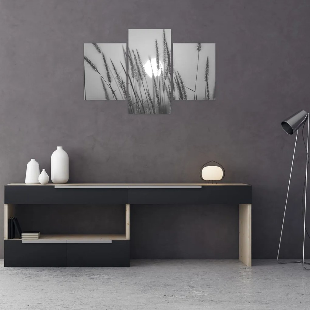 Kép - Mező naplementében (90x60 cm)