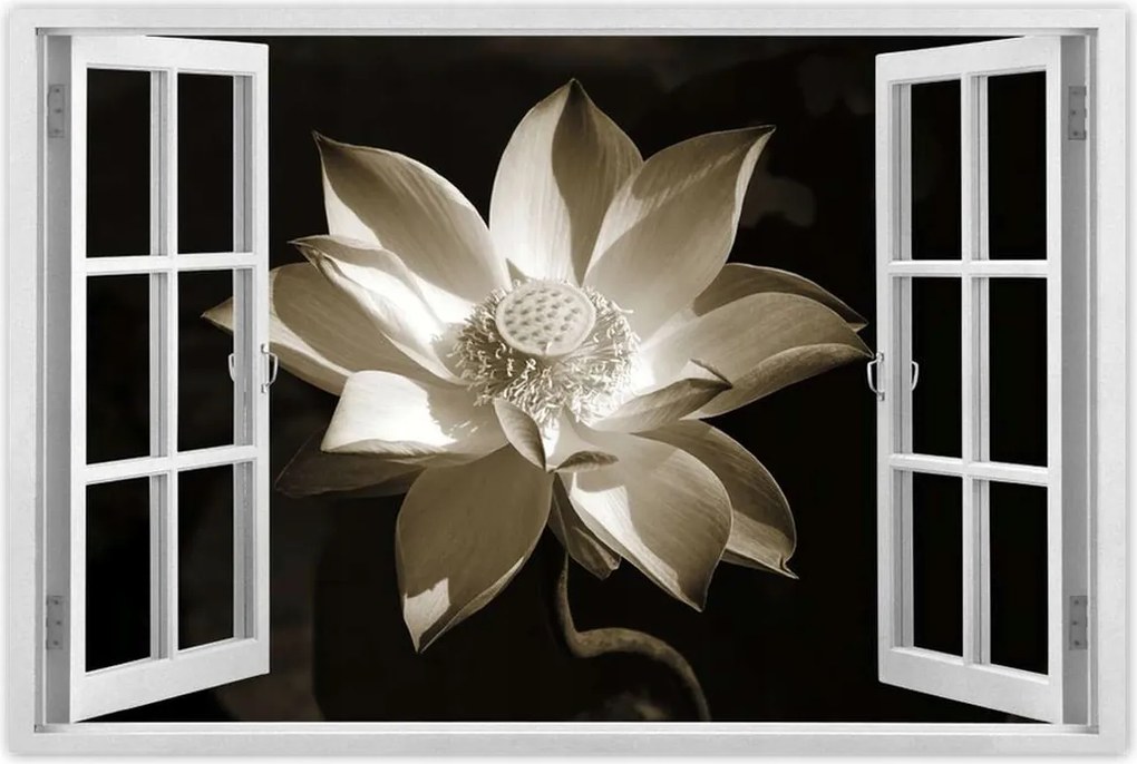 Poszterek 90x60 Lótusz Lótuszvirág