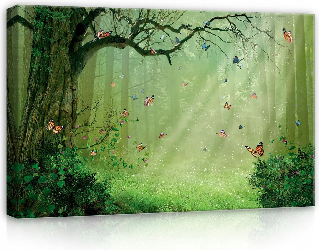 Vászonkép 60x40 Meseerdő varázslatos pillangók fény nap mágia nyugalom