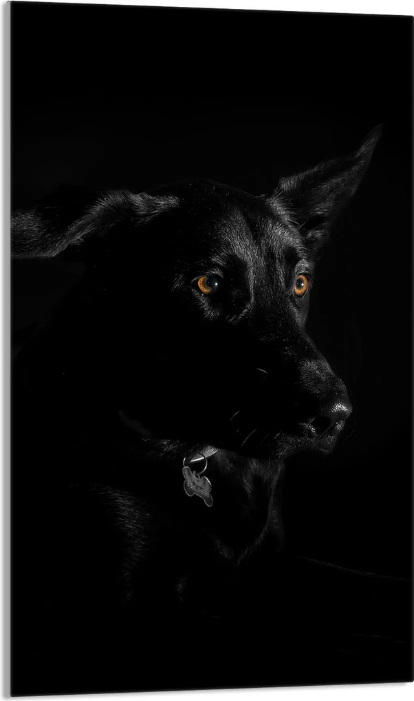 Üveg Vágódeszka 30x52 Kutya a Konyhába