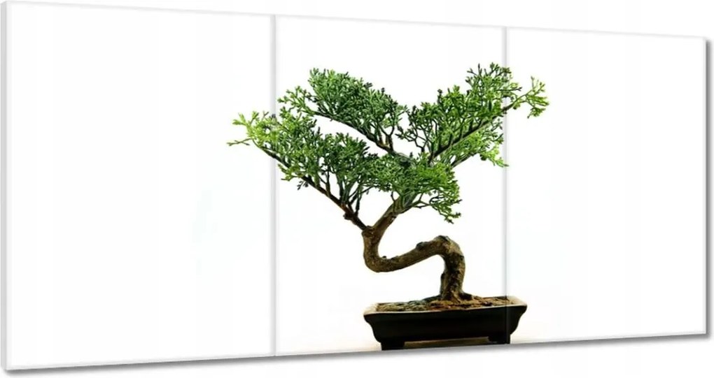 Festmények 180x90 Bonzai fa