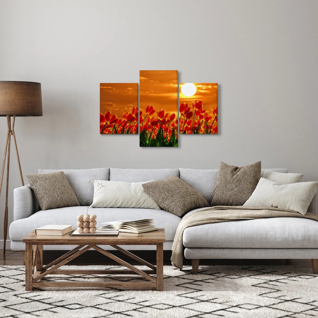 Kép egy virágzó mező tulipánokkal (90x60 cm)