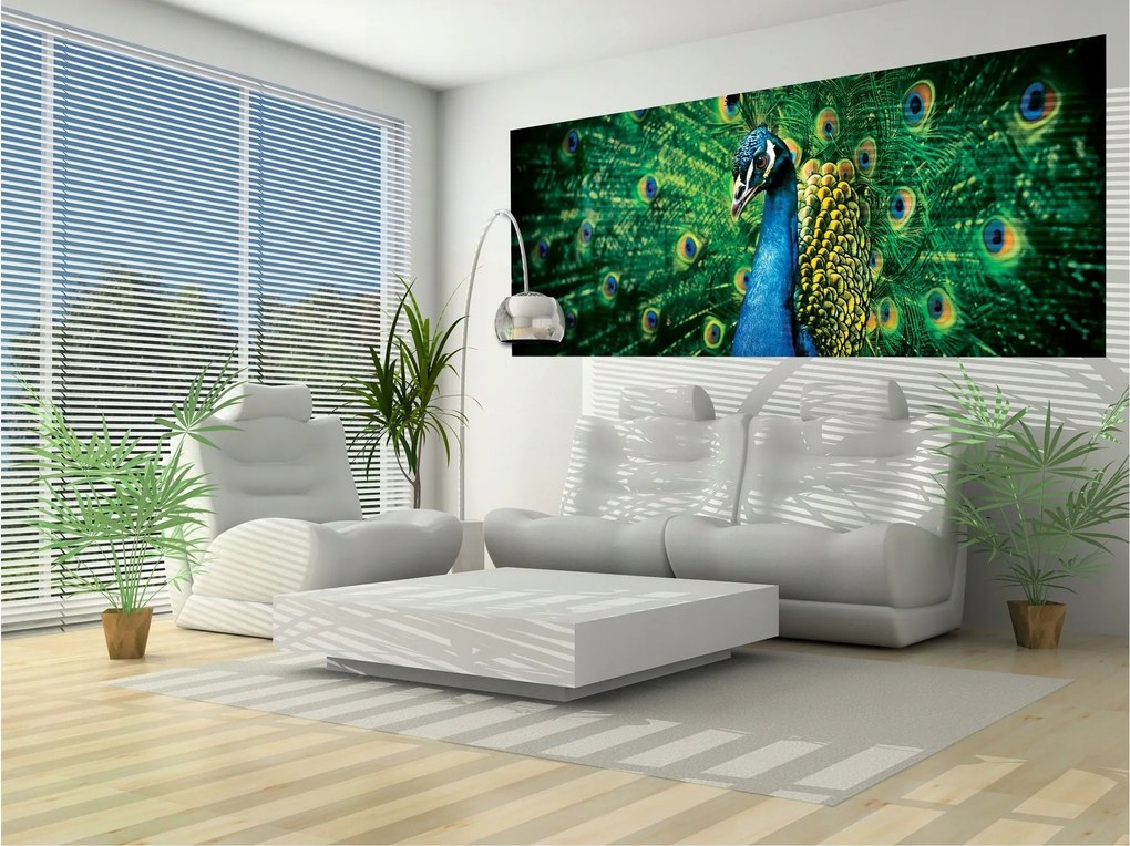 Fotótapéta Flizelina Páva Egzotika és Elegancia az otthonodban 250x104 +ragasztó