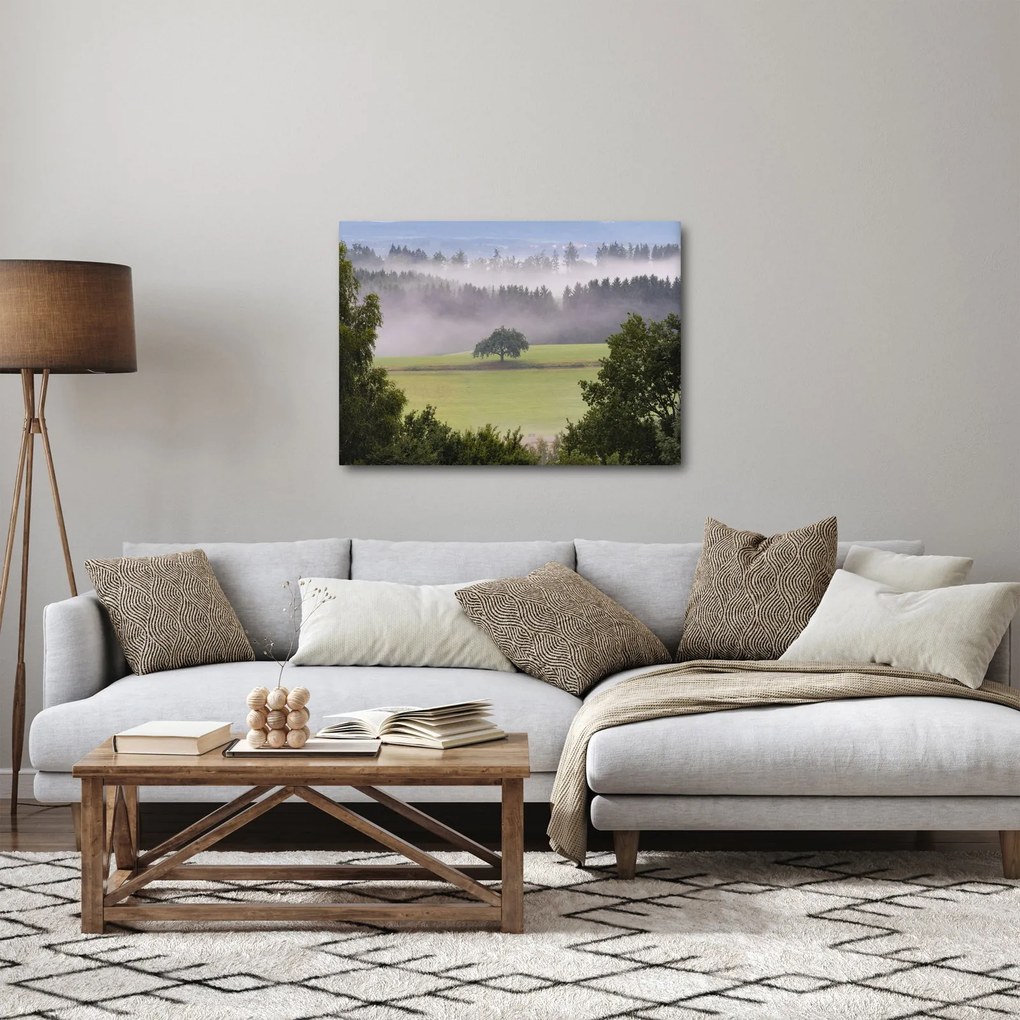 Egy kép a rétről egy fával (70x50 cm)