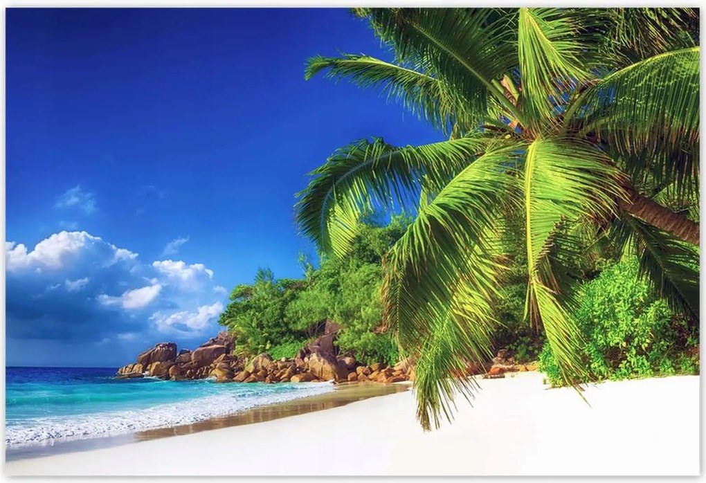 Poszterek 155x105 Trópusok Tájkép Pálmafák