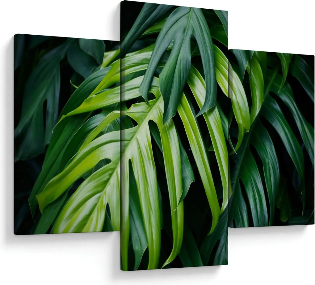 Kép - trópusi levelek (90x60 cm)