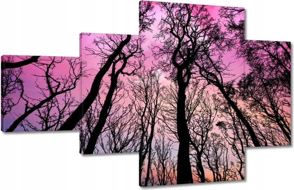 Festmények 130x80 Erdő Fák Kilátás alulról