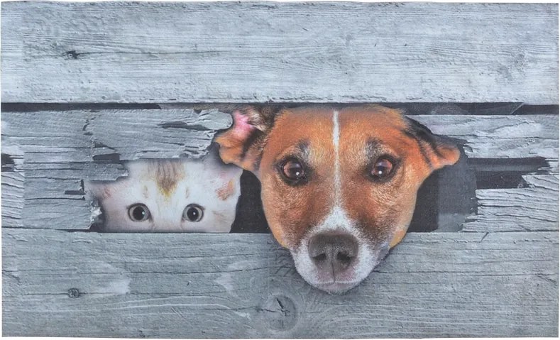 Cicás és kutyás lábtörlő - cipős szőnyeg 75 X 45 cm