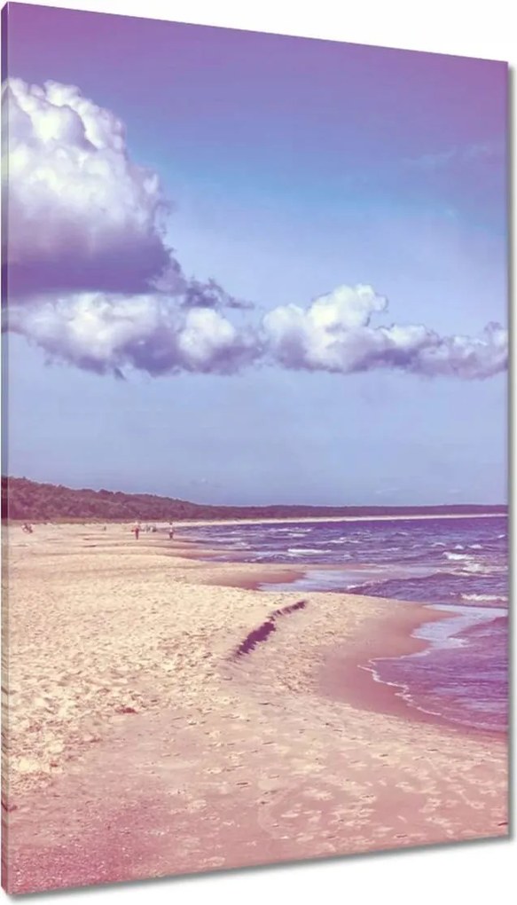 Vászonkép 80x120 Tengerpart a Balti-tengeren