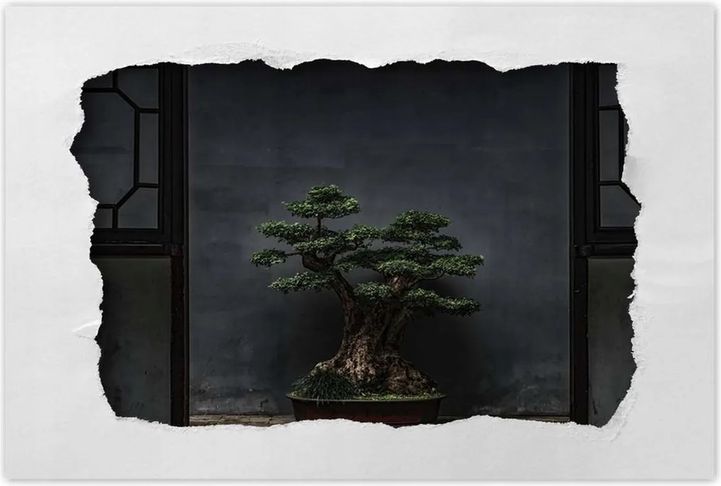 Poszterek 120x80 Bonsai Fa Kultúra