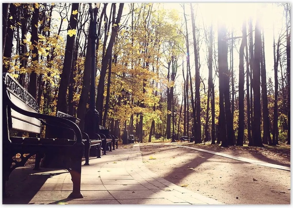 Poszterek 100x70 Városi park Tájkép