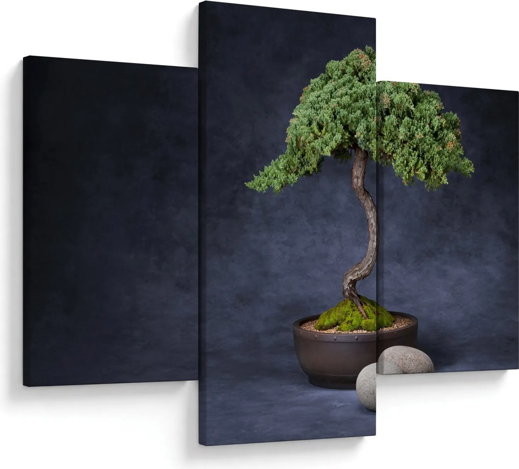 Kép - Bonsai (90x60 cm)