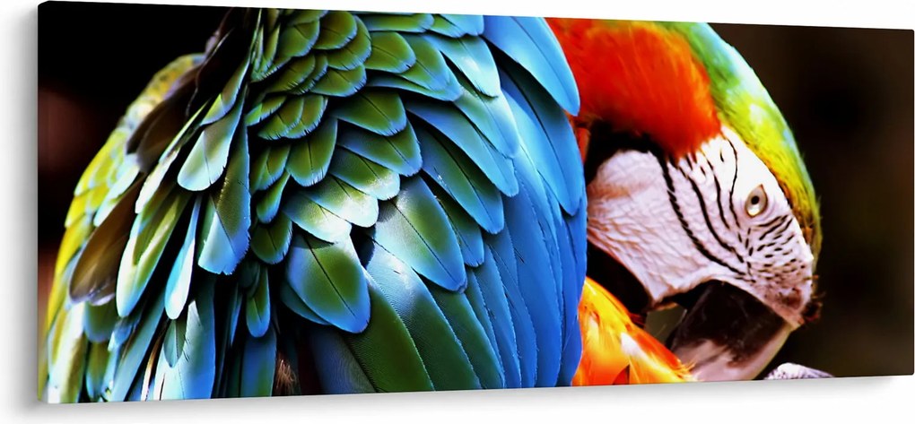 Kép - Papagáj (120x50 cm)