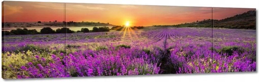 Vászonkép 170x50 Levendulamező Nyugat