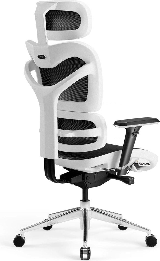 Ergonomikus irodai szék, fehér-fekete: Diablo V-Commander