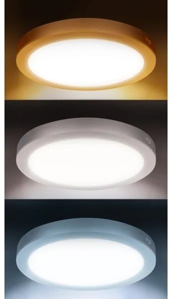 Solight WD244-S - LED panel 2 az 1-ben 24W/230V 3000/4000/6000K átm. 30 cm IP54 ezüstszínű