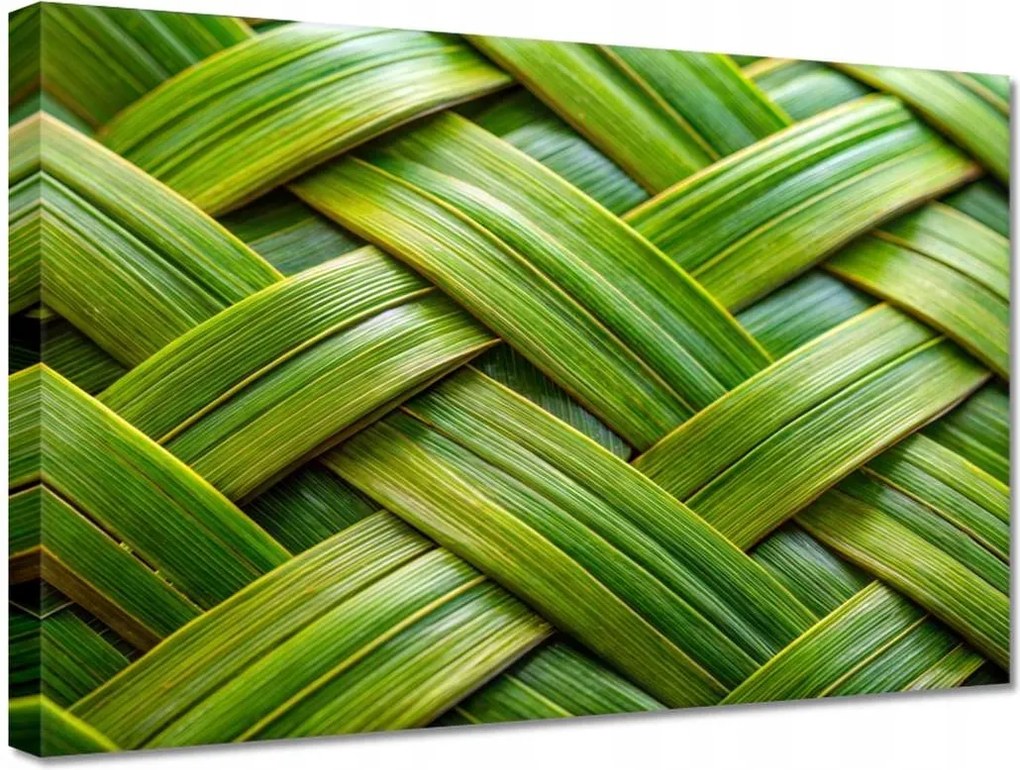 Vászonkép 30x20 Zöld fonott Zöld rattan fonott lemez