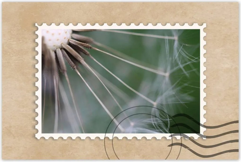 Poszterek 120x80 Pitypang Virág Virágok