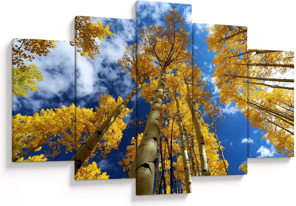 Kép - Aspen (150x105 cm)
