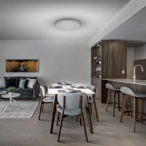 Solight WO799 - LED Dimmelhető mennyezeti lámpa LED/50W/230V 3000-6000K + távirányító