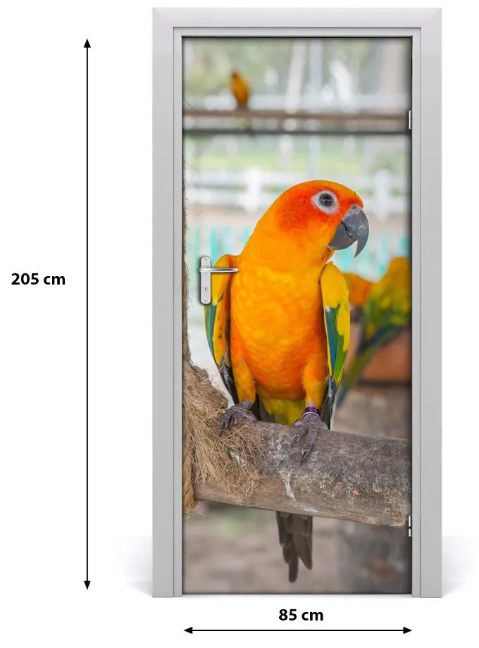 Poszter tapéta ajtóra Papagáj 85x205 cm