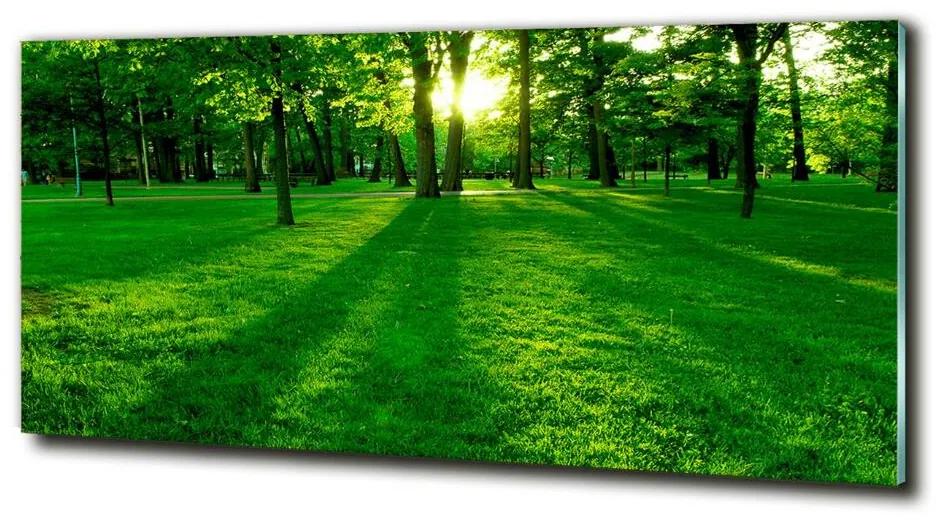 Egyedi üvegkép A fű a parkban cz-obglass-125x50-3863874