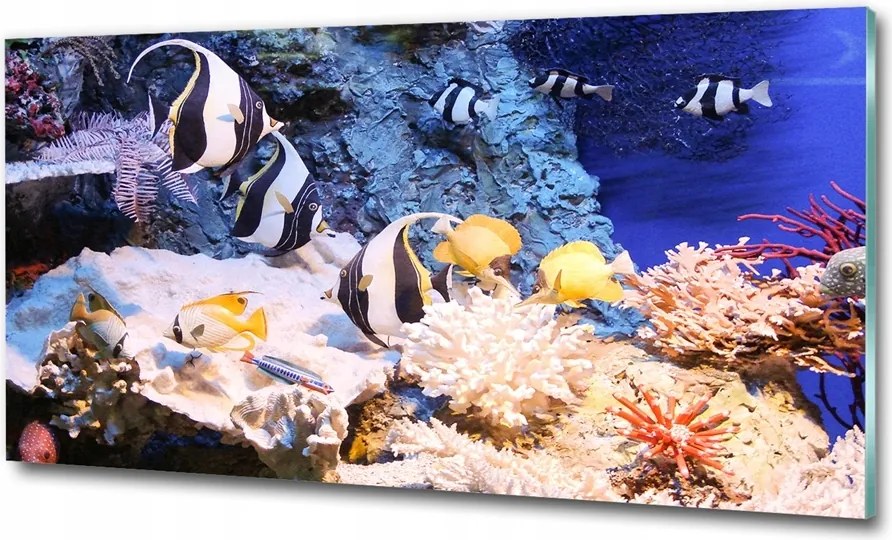 Fotó-kép edzett üveg Korallzátony 125x50