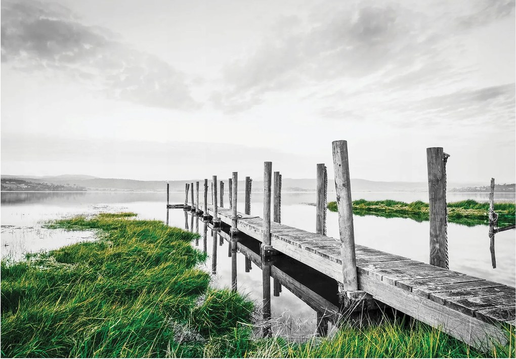 Tapéta Nyugalom Harmónia Fa Híd Relax árnyalatokban 254x184 +ragasztó