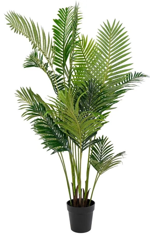 Pálma műnövény (magasság 175 cm) Areca – House Nordic