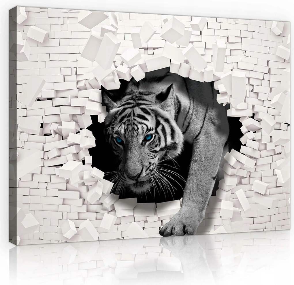 Vászonkép 60x40 A természet ereje Tigris a minimalista belső térben Erős akcentus