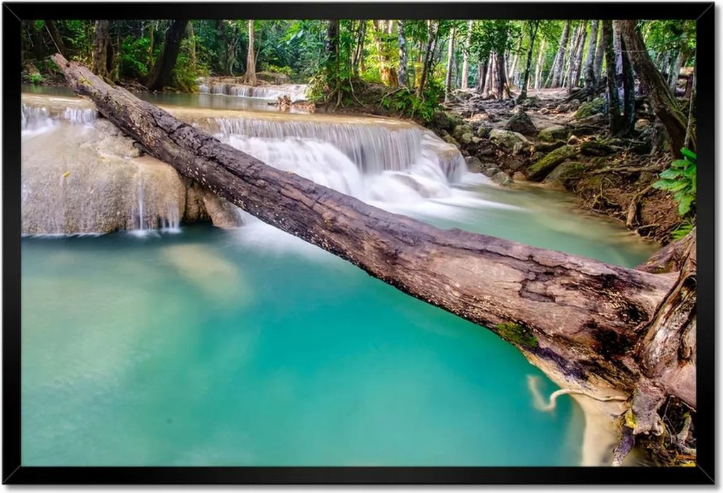 Poszterek keretben 60x40 Kidőlt fa