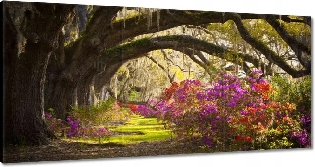 Vászonkép 60x30 Virágok a parkban