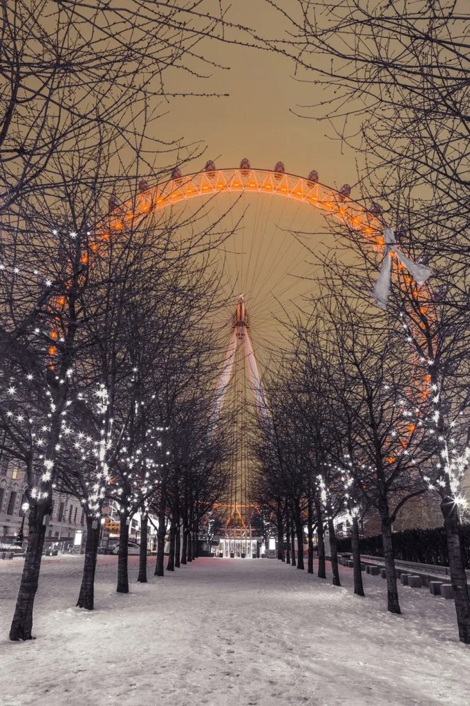 Poszter 40x60cm London Eye éjszaka fákkal, Assaf Frank